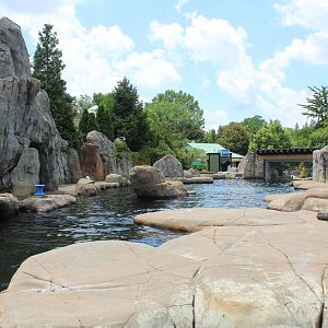 Sea Lion Sound (California Sea Lion & Harbor Seal Exhibit)