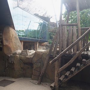 Viewing areas in the Savanna aviary, 2022-05-26