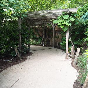 Visitor area in the Savanna aviary, 2022-05-26