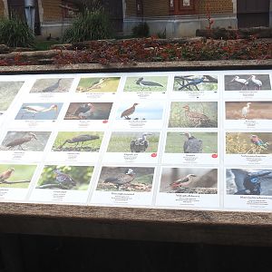 New species signage in the Savanna aviary, 2022-05-26