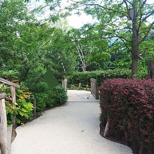 Visitor area in the Savanna aviary, 2022-05-26