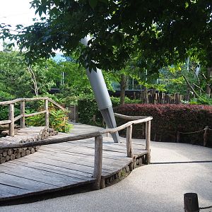 Visitor area in the Savanna aviary, 2022-05-26