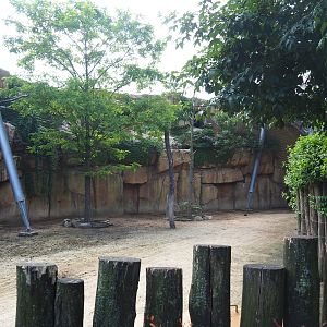 Savanna aviary - Buffalo and bird house and part of the Cape buffalo paddock, 2022-05-26