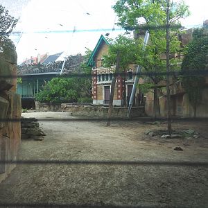 Savanna aviary - Cape buffalo paddock, 2022-05-26