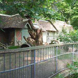 Historical small deer exhibit - Now housing Meerkats and Hermann's tortoises, 2022-05-26