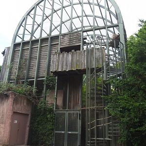 Hippo house aviary, 2022-05-26