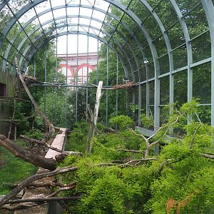 Hippo house aviary - Upper level view, 2022-05-26