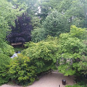 View of pond area from hippo house upper level viewing area, 2022-05-26