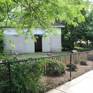 Galapagos Tortoise & Radiated Tortoise Exhibit