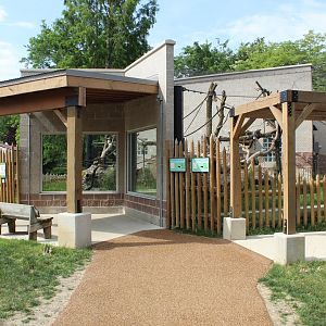 De Brazza's Monkey & Red-flanked Duiker Exhibit