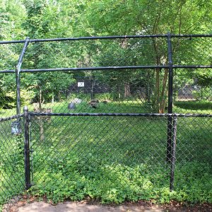 Hooded Crane Exhibit