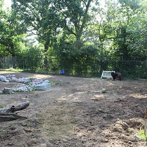 Domestic Livestock Exhibit