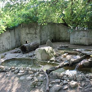 North American River Otter Exhibit