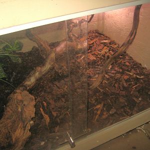 Odsherred Zoo - Monkey/reptile house - Tarantula exhibit