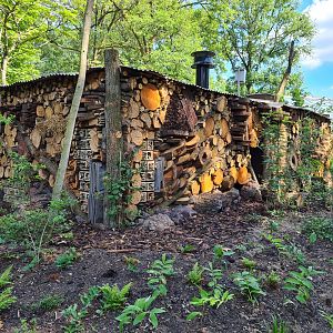 Park - New giant insect hotel