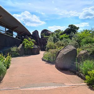 Safari - Kopje walkway