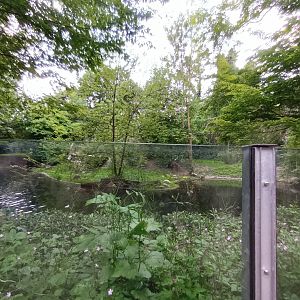 Sumatran Tiger Enclosure