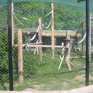 Odsherred Zoo - Mixed lemur exhibit