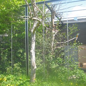 Odsherred Zoo - Macaw aviary #1