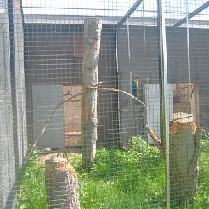 Odsherred Zoo - Macaw aviary #2