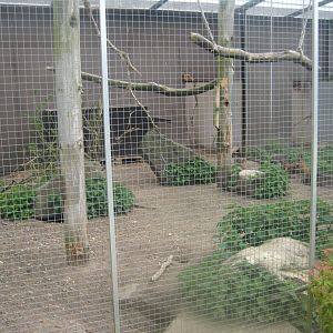 Odsherred Zoo - Macaw aviary #3