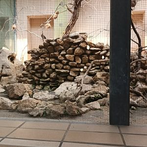 Bird House Savannah Aviary