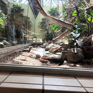 Bird House South America Enclosure