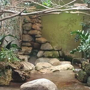 Bird House South east Asia Enclosure