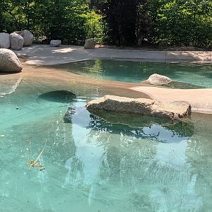 Harbour Seal Enclosure