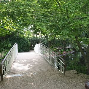 Bridge over former cormorant pond to Asian elephant viewing area, 2022-05-26