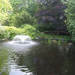 Former cormorant pond, 2022-05-26