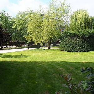 Park view from elephant viewing area towards rhinoceros paddock, 2022-05-26
