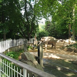 Asian elephant viewing area and part of Asian elephant paddock, 2022-05-26