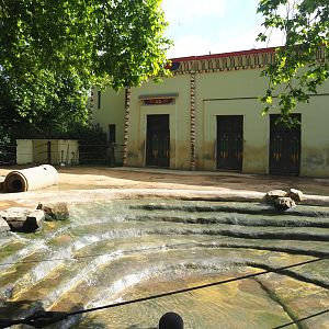 Asian elephant pool and part of Asian elephant paddock,2022-05-26