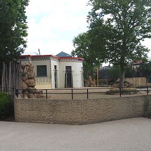 Giraffe paddock viewing area, 2022-05-26