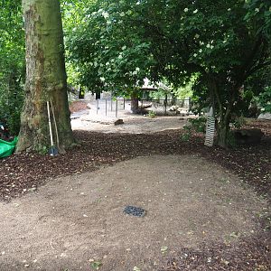 Renovation of former kangaroo exhibit to babyrusa exhibit, 2022-05-26