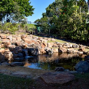 Renovated Capybara Enclosure