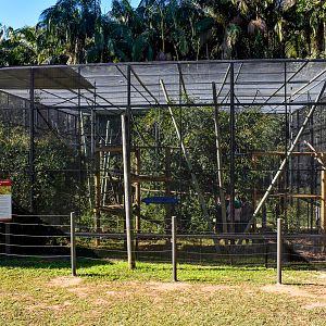 New Squirrel Monkey Enclosure