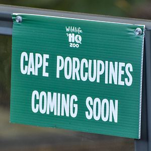 Cape Porcupine Sign