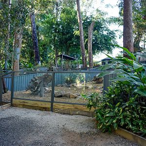 Future Cape Porcupine Enclosure