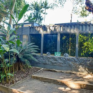 Future Cape Porcupine Enclosure - Viewing Den