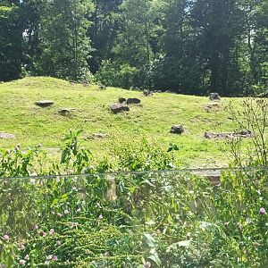 Finnish Forest Reindeer Enclosure