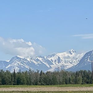 Looking east towards Knik Glacier from Reindeer Farm