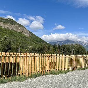 Silhouettes of Reindeer Farm inhabitants