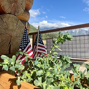 Planter at Gift Shop