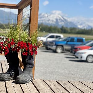 Chugach Mountains and Parking Lot from the Gift Shop