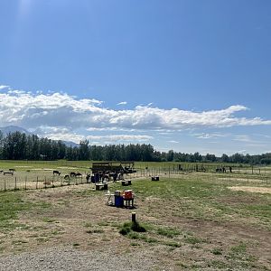 Main Reindeer Pasture