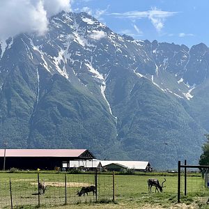 Pioneer Peak in background