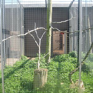 Odsherred Zoo - Conure aviary