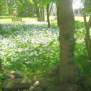 Odsherred Zoo - "The little garden"